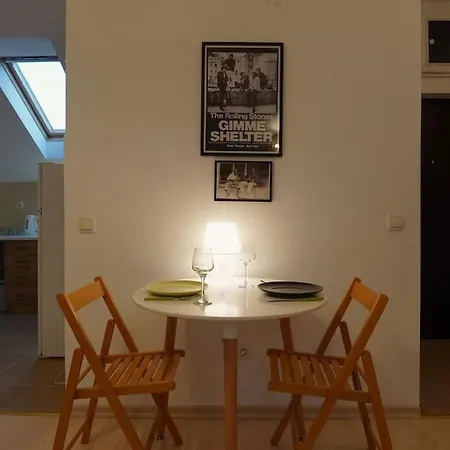 Vracar Historical Apartament