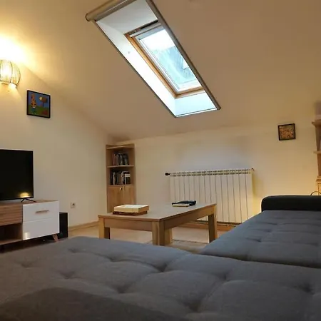 Apartament Vracar Historical