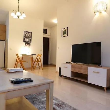 Apartament Vracar Historical *