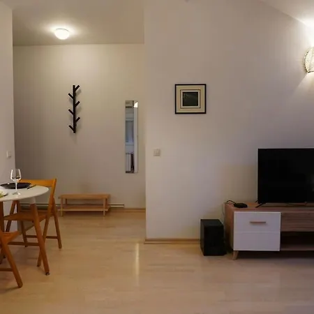 Vracar Historical Apartament