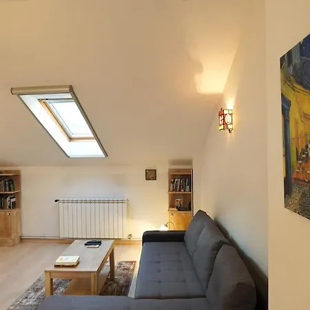 Vracar Historical Apartament Belgrad