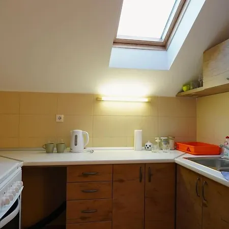 Vracar Historical Apartament Belgrad